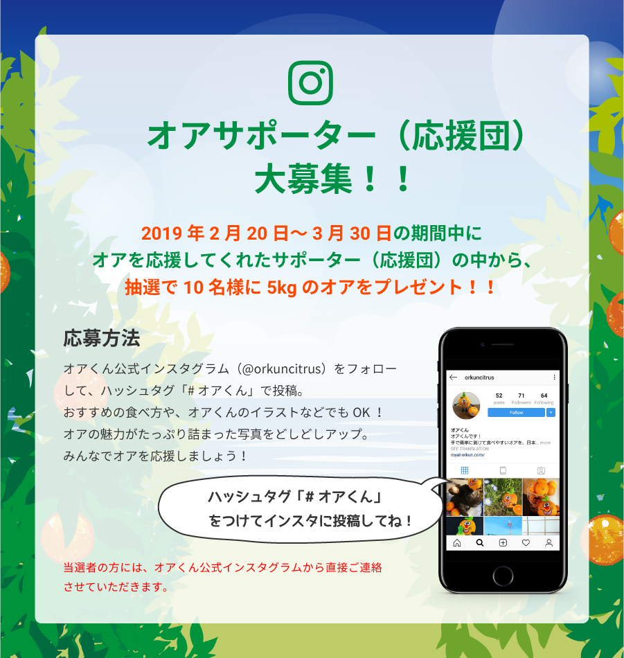 オアサポーター（応援団）大募集！！2019年2月20日～3月30日の期間中にオアを応援してくれたサポーター（応援団）の中から、抽選で10 名様に5kg のオアをプレゼント！！応募方法 オアくん公式インスタグラム（@orkuncitrus）をフォローして、ハッシュタグ「# オアくん」で投稿。おすすめの食べ方や、オアくんのイラストなどでもOK ！オアの魅力がたっぷり詰まった写真をどしどしアップ。みんなでオアくんを応援しましょう！ ハッシュタグ「# オアくん」をつけてインスタに投稿してね！当選者の方には、オアくん公式インスタグラムから直接ご連絡させていただきます。