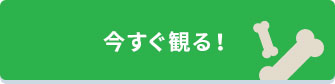 今すぐ観る