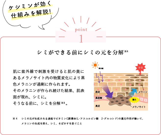 ケシミンが効く仕組みを解説!シミができる前にシミの元を分解肌に紫外線で刺激を受けると肌の奥にあるメラノサイト内の物質変化により黒色メラニンが過剰に作られます。そのメラニンが作られ続けた結果、肌表面が現れ、シミに。そうなる前に、シミを分解※4。※４シミの元が生成される過程でビタミンC誘導体(L-アスコルビン酸　2-グルコシド)の還元作用が働いて、メラニンの生成を抑え、シミ、そばかすを防ぐこと