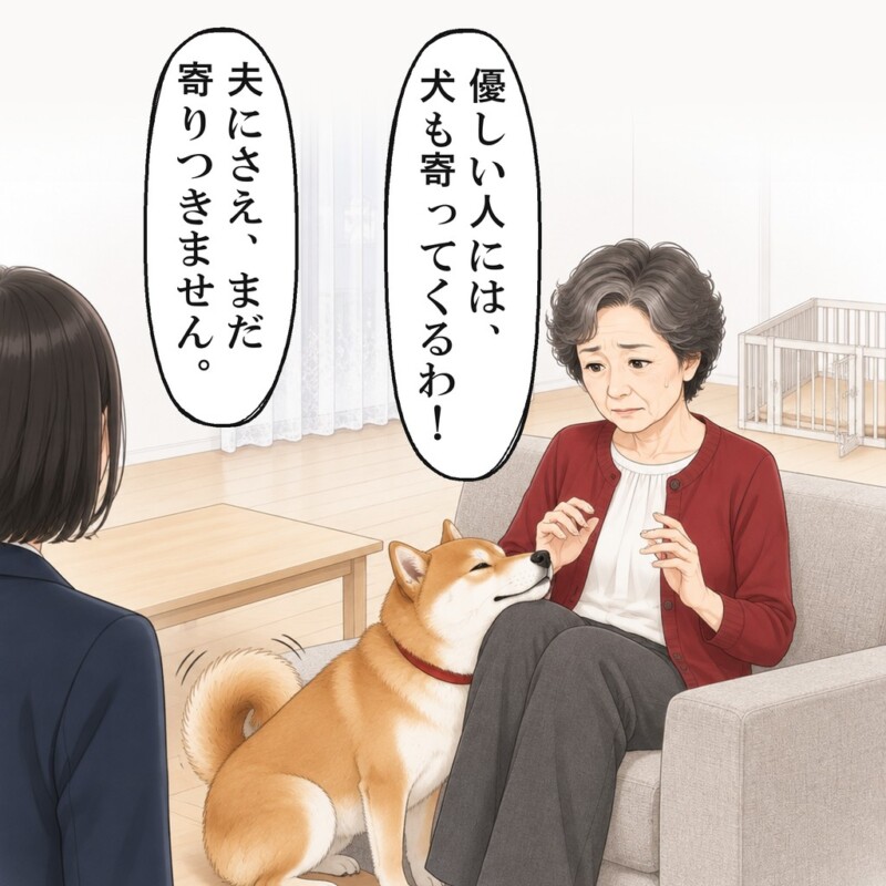 人見知りのこむぎが、まっすぐ義母の膝にあごをのせました