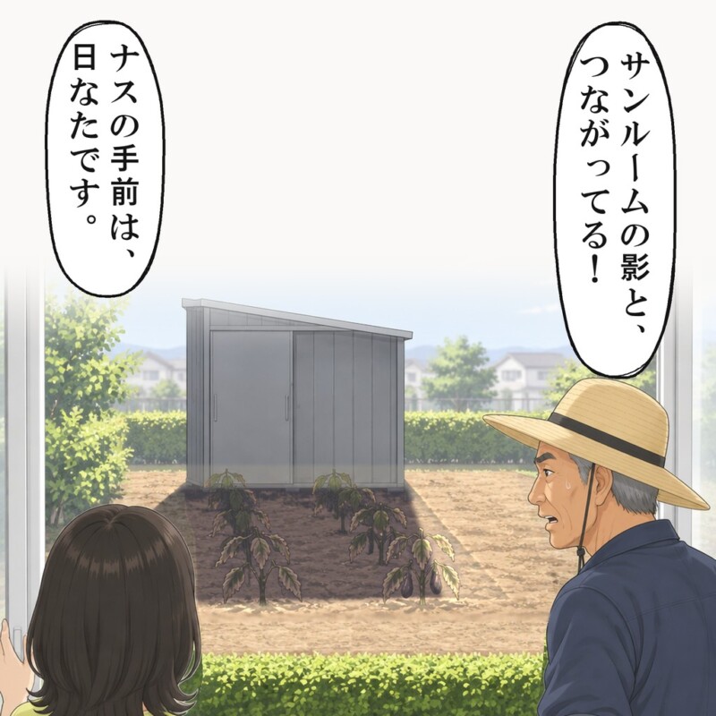 ナスの上の影は、義父の物置の足もとから続いていました